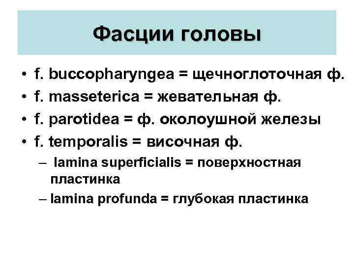 Фасции головы • • f. buccopharyngea = щечноглоточная ф. f. masseterica = жевательная ф.