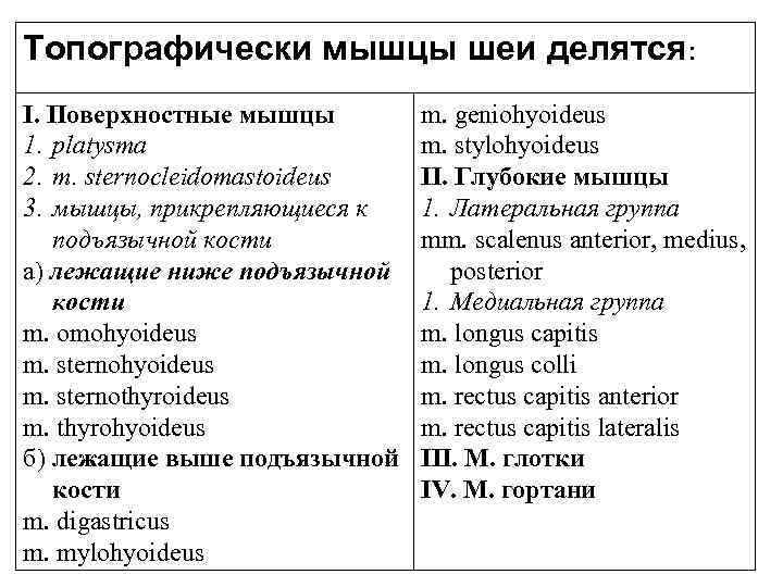 Топографически мышцы шеи делятся: I. Поверхностные мышцы 1. platysma 2. m. sternocleidomastoideus 3. мышцы,