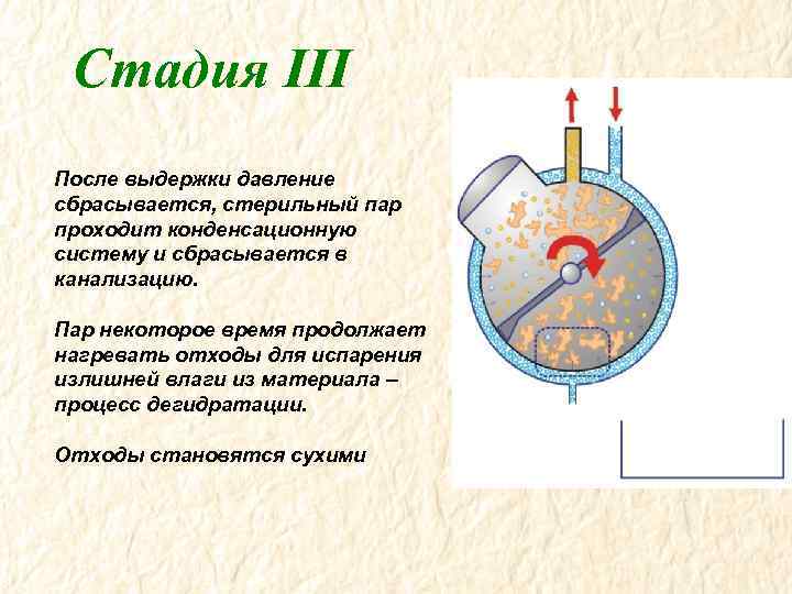 Стадия III После выдержки давление сбрасывается, стерильный пар проходит конденсационную систему и сбрасывается в