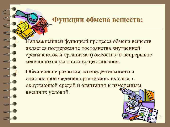 Функции обмена веществ: 1. Наиважнейшей функцией процесса обмена веществ является поддержание постоянства внутренней среды