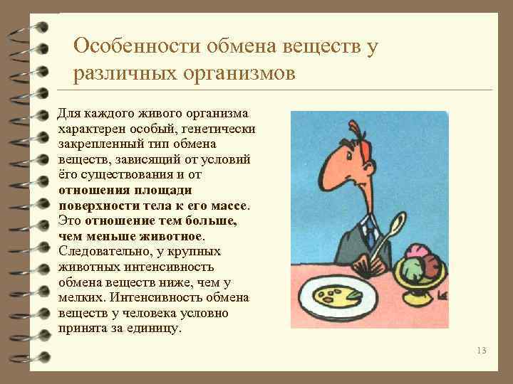 Особенности обмена веществ у различных организмов Для каждого живого организма характерен особый, генетически закрепленный