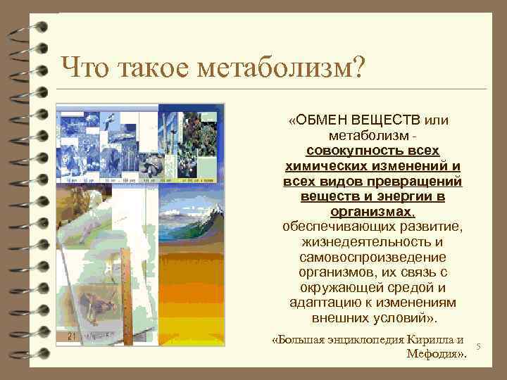 Что такое метаболизм? «ОБМЕН ВЕЩЕСТВ или метаболизм совокупность всех химических изменений и всех видов