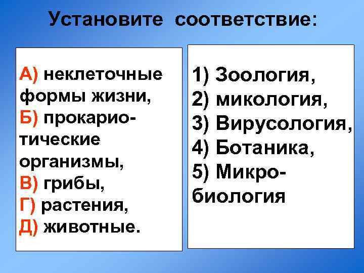 Установите соответствие: А) неклеточные формы жизни, Б) прокариотические организмы, В) грибы, Г) растения, Д)