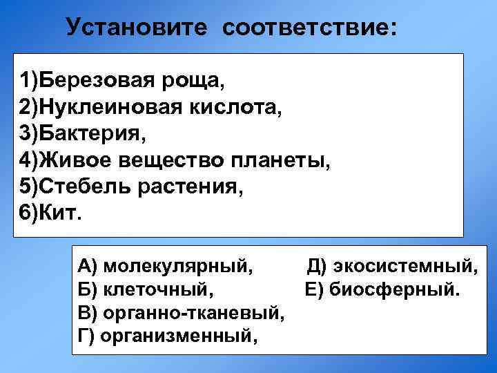 Установите соответствие: 1)Березовая роща, 2)Нуклеиновая кислота, 3)Бактерия, 4)Живое вещество планеты, 5)Стебель растения, 6)Кит. А)