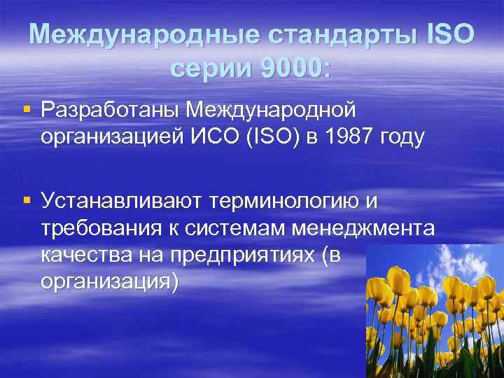 Международные стандарты ISO серии 9000: § Разработаны Международной организацией ИСО (ISO) в 1987 году