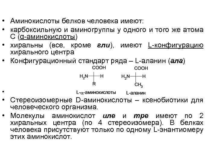  • Аминокислоты белков человека имеют: • карбоксильную и аминогруппы у одного и того