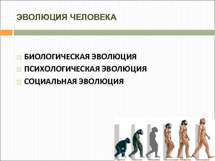 Биологическая и социальная эволюция человека. Социальная Эволюция. Социальные этапы эволюции человека. Биологическая Эволюция человека.