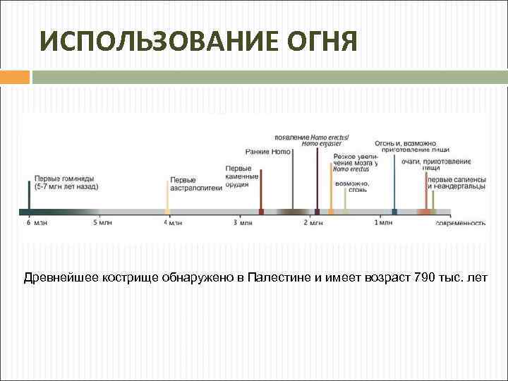 ИСПОЛЬЗОВАНИЕ ОГНЯ Древнейшее кострище обнаружено в Палестине и имеет возраст 790 тыс. лет 