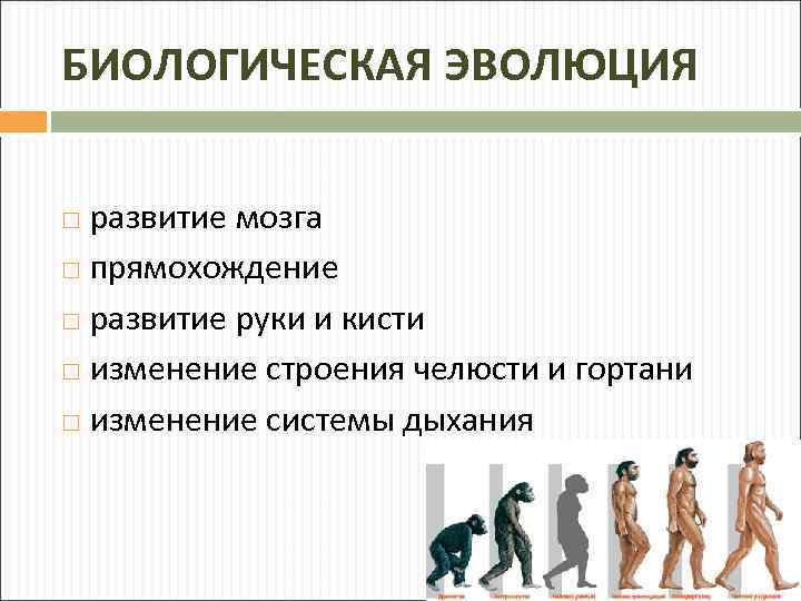 Концепция биологической эволюции. Биологическая Эволюция. Современная эволюционная биология. Эволюция прямохождение.