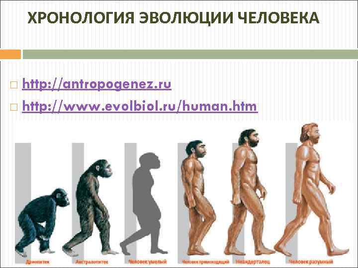 Процесс превращения человека в обезьяну
