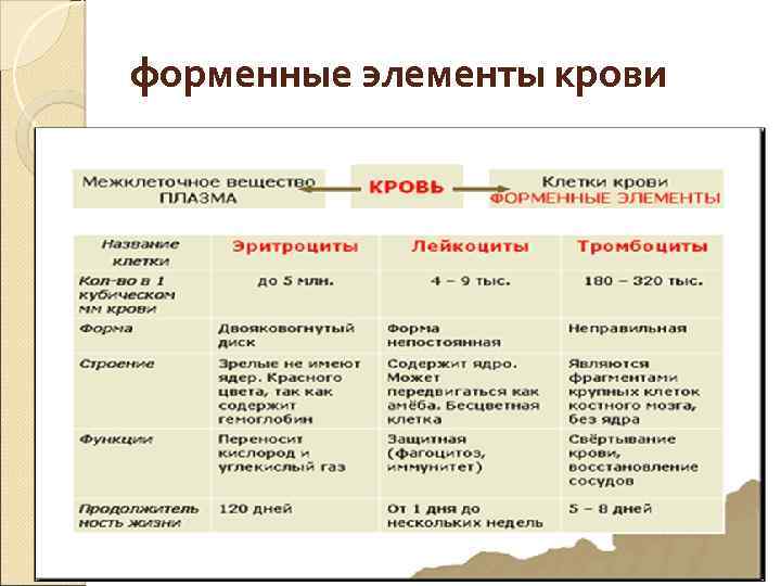форменные элементы крови 