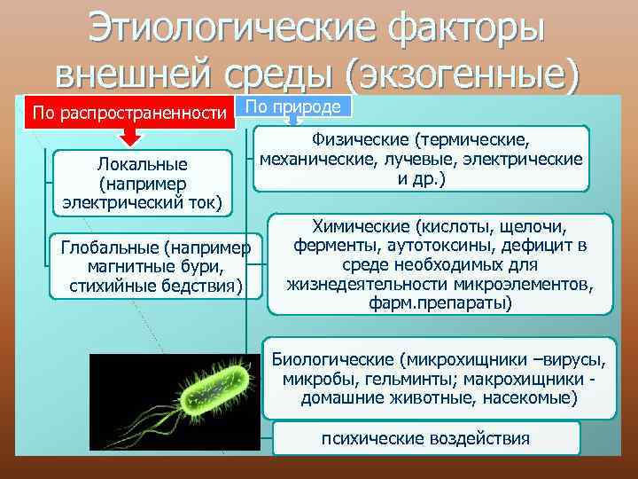 Этиологические факторы внешней среды (экзогенные) По распространенности По природе Локальные (например электрический ток) Глобальные