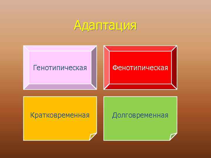 Адаптация Генотипическая Фенотипическая Кратковременная Долговременная 