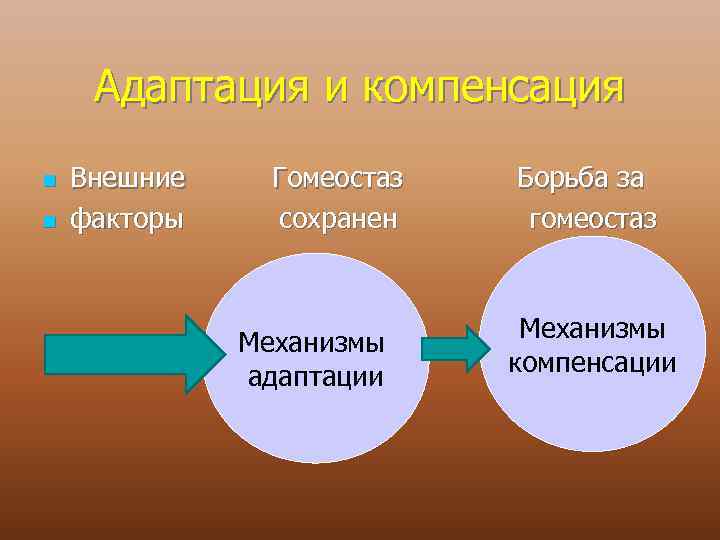 Адаптация и компенсация n n Внешние факторы Гомеостаз сохранен Механизмы адаптации Борьба за гомеостаз