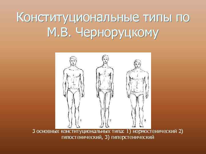 Конституциональные типы по М. В. Черноруцкому 3 основных конституциональных типа: 1) нормостенический 2) гипостенический,