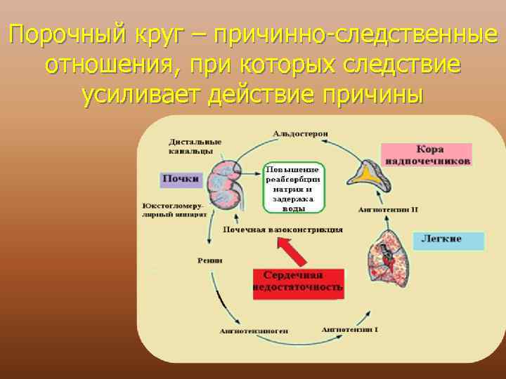 Порочный круг – причинно-следственные отношения, при которых следствие усиливает действие причины 