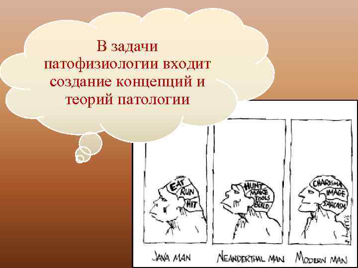 В задачи патофизиологии входит создание концепций и теорий патологии 