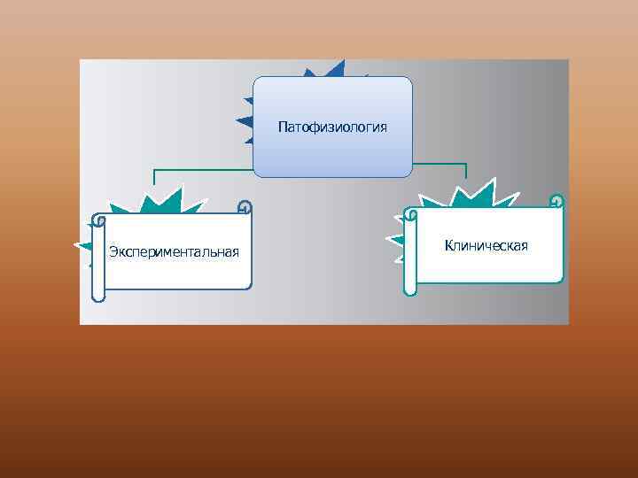 Патофизиология Экспериментальная Клиническая 