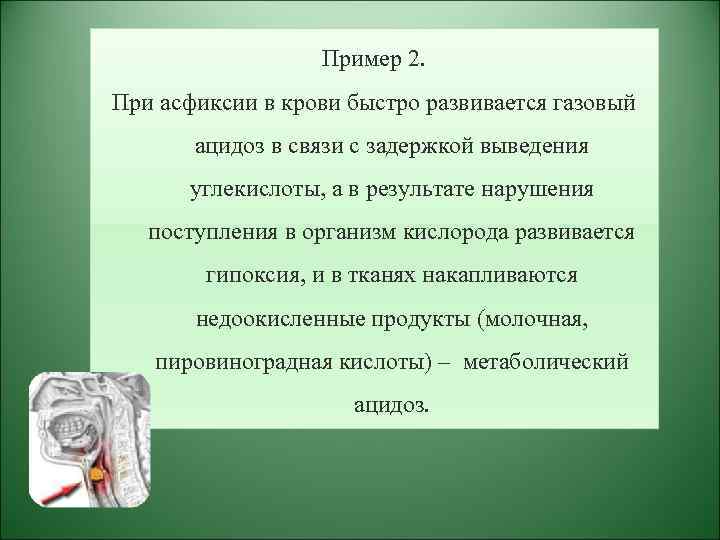 Пример 2. При асфиксии в крови быстро развивается газовый ацидоз в связи с задержкой