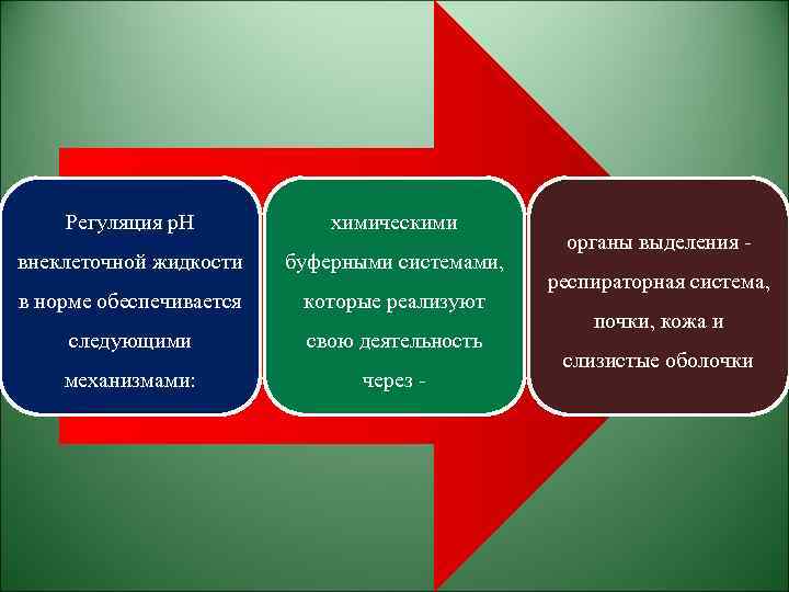 Регуляция p. H химическими внеклеточной жидкости буферными системами, в норме обеспечивается которые реализуют следующими