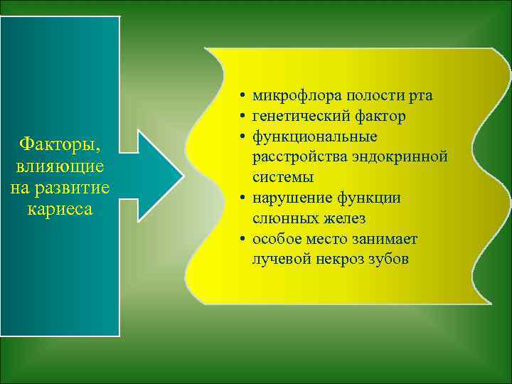 Факторы, влияющие на развитие кариеса • микрофлора полости рта • генетический фактор • функциональные