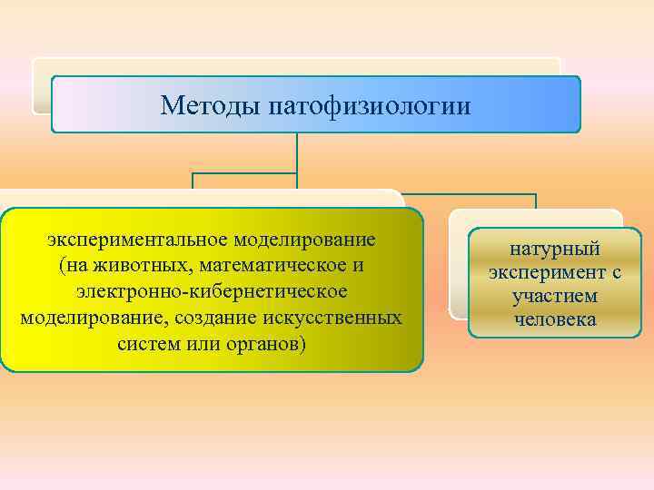 Методы патофизиологии экспериментальное моделирование (на животных, математическое и электронно-кибернетическое моделирование, создание искусственных систем или