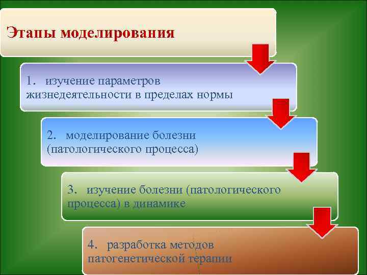 Этапы моделирования 1. изучение параметров жизнедеятельности в пределах нормы 2. моделирование болезни (патологического процесса)