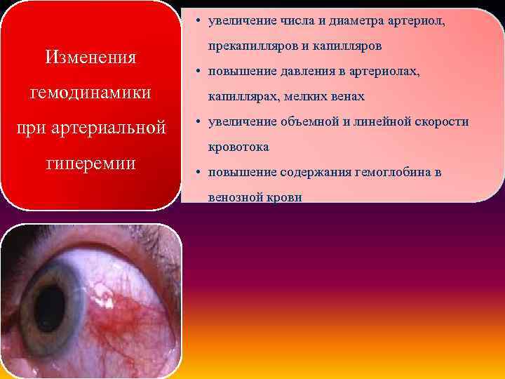  • увеличение числа и диаметра артериол, Изменения гемодинамики при артериальной гиперемии прекапилляров и