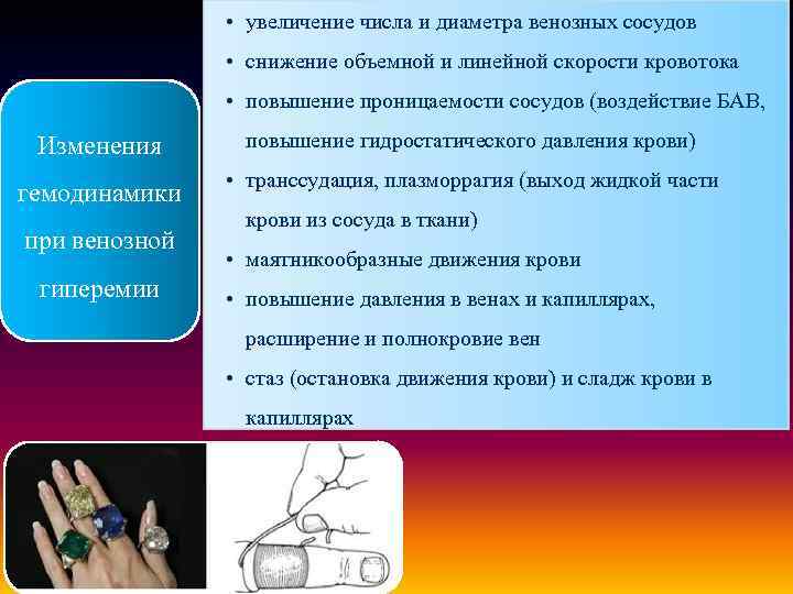  • увеличение числа и диаметра венозных сосудов • снижение объемной и линейной скорости