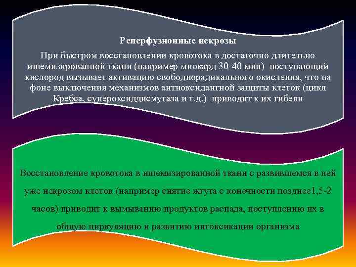 Реперфузионные некрозы При быстром восстановлении кровотока в достаточно длительно ишемизированной ткани (например миокард 30