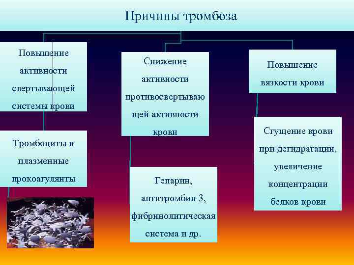 Причины тромбоза Повышение активности свертывающей системы крови Снижение Повышение активности вязкости крови противосвертываю щей