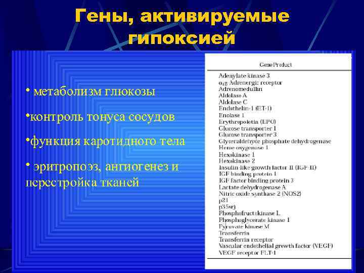 Гены, активируемые гипоксией 