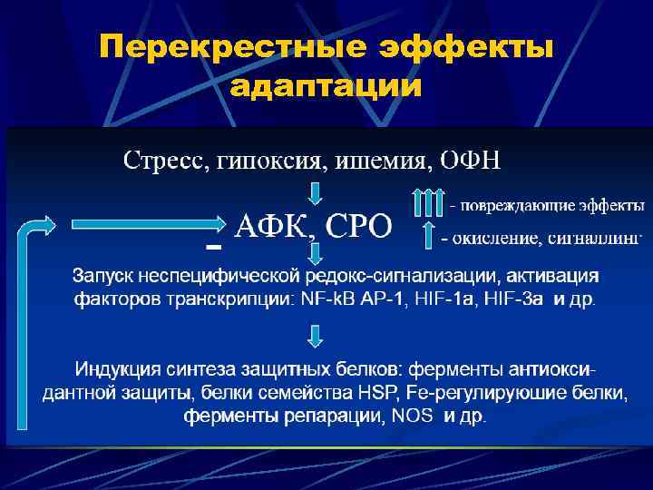 Перекрестные эффекты адаптации 