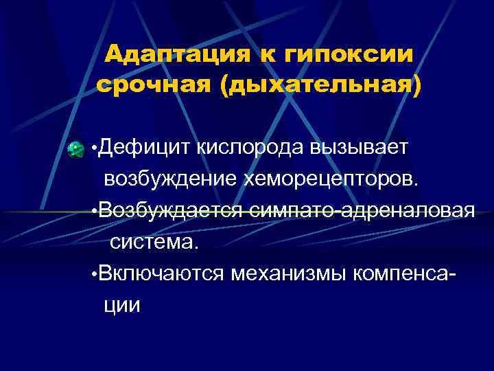 Адаптация к гипоксии срочная (дыхательная) • Дефицит кислорода вызывает возбуждение хеморецепторов. • Возбуждается симпато-адреналовая