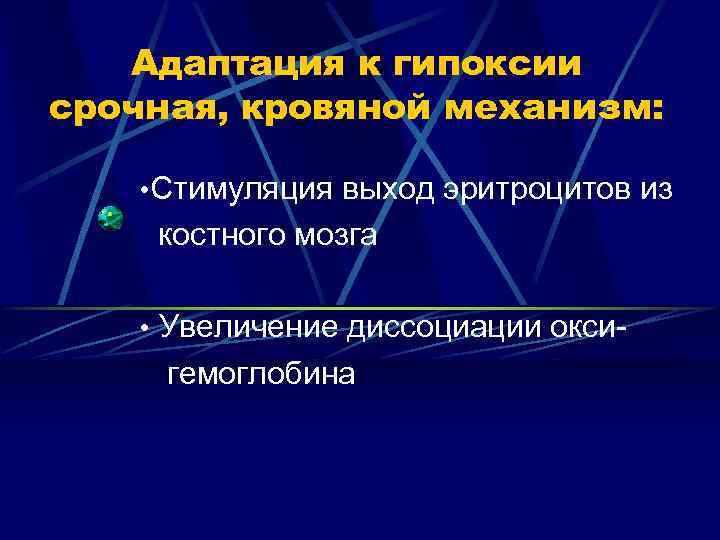 Адаптация к гипоксии срочная, кровяной механизм: • Стимуляция выход эритроцитов из костного мозга •