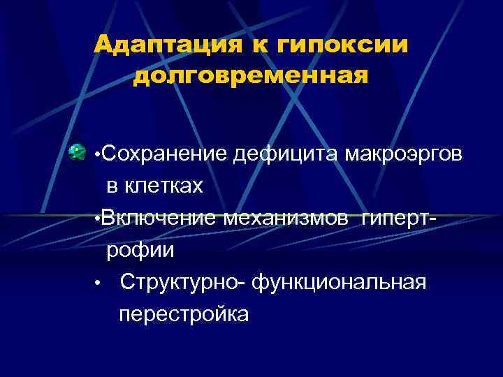 Адаптация к гипоксии долговременная • Сохранение дефицита макроэргов в клетках • Включение механизмов гипертрофии