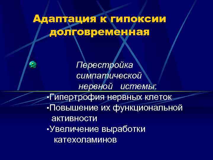 Адаптация к гипоксии долговременная Перестройка симпатической нервной истемы: • Гипертрофия нервных клеток • Повышение