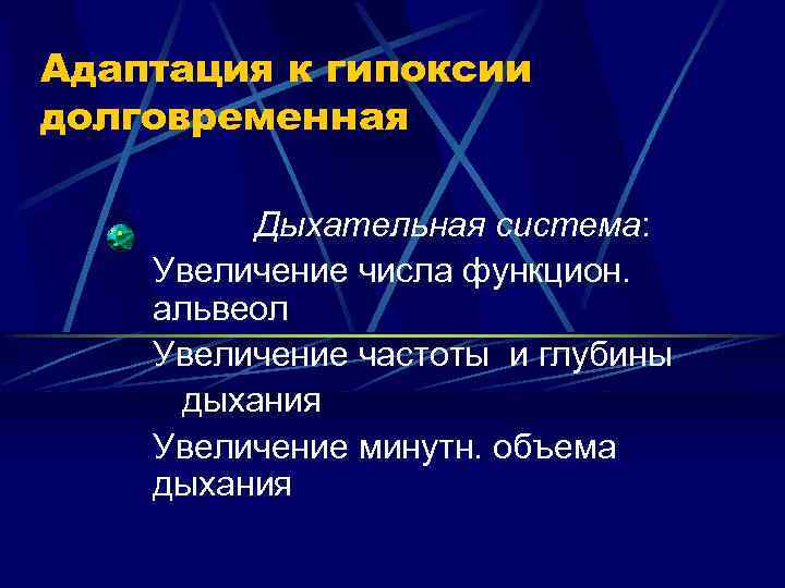Адаптация к гипоксии долговременная Дыхательная система: Увеличение числа функцион. альвеол Увеличение частоты и глубины