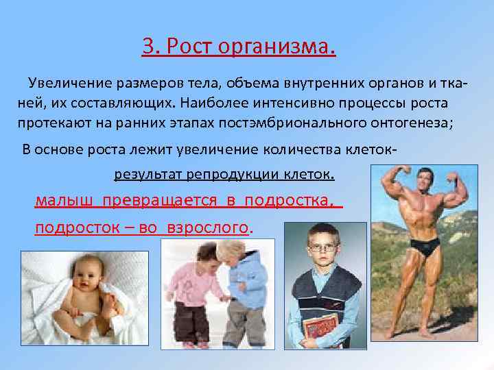 3. Рост организма. Увеличение размеров тела, объема внутренних органов и тканей, их составляющих. Наиболее