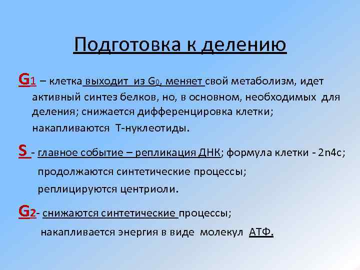 Подготовка к делению G 1 – клетка выходит из G 0, меняет свой метаболизм,