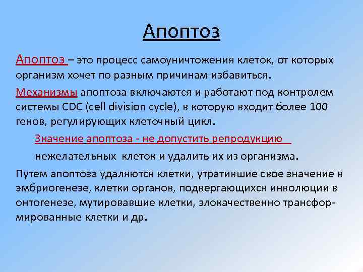 Апоптоз – это процесс самоуничтожения клеток, от которых организм хочет по разным причинам избавиться.