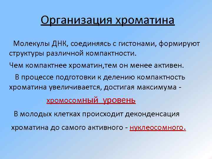 Организация хроматина Молекулы ДНК, соединяясь с гистонами, формируют структуры различной компактности. Чем компактнее хроматин,