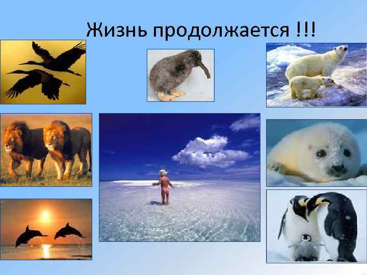 Жизнь продолжается !!! 