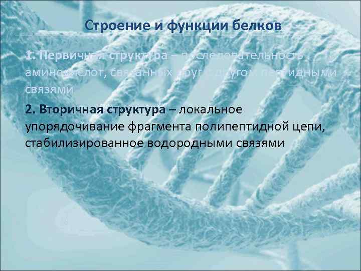 Строение и функции белков 1. Первичная структура – последовательность аминокислот, связанных друг с другом