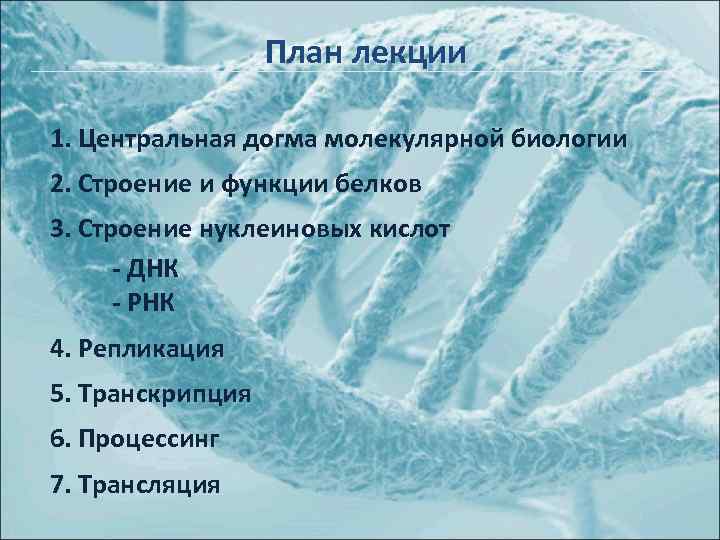 План лекции 1. Центральная догма молекулярной биологии 2. Строение и функции белков 3. Строение