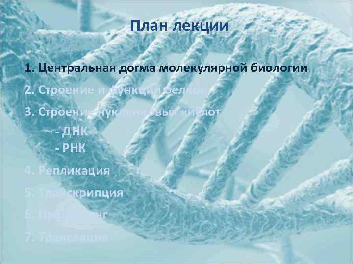 План лекции 1. Центральная догма молекулярной биологии 2. Строение и функции белков 3. Строение