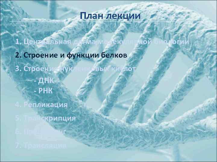 План лекции 1. Центральная догма молекулярной биологии 2. Строение и функции белков 3. Строение