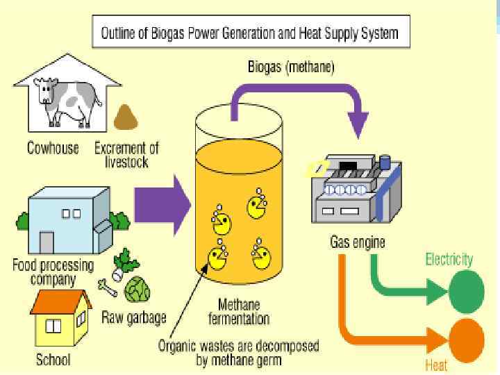  • Биогаз - горючий газ, получаемый: - из твердых и жидких отходов (городские
