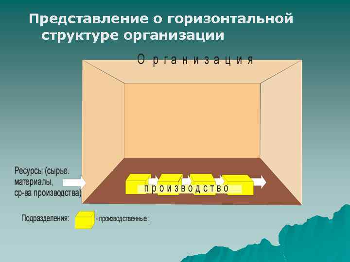 Представление о горизонтальной структуре организации 