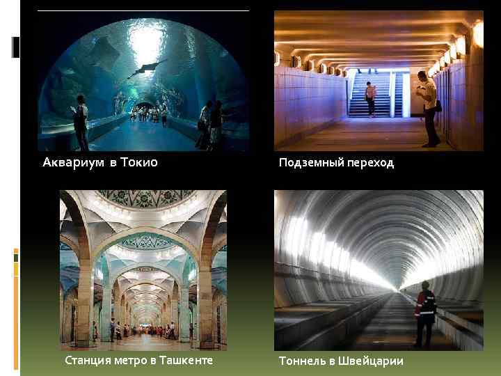 Аквариум в Токио Станция метро в Ташкенте Подземный переход Тоннель в Швейцарии 